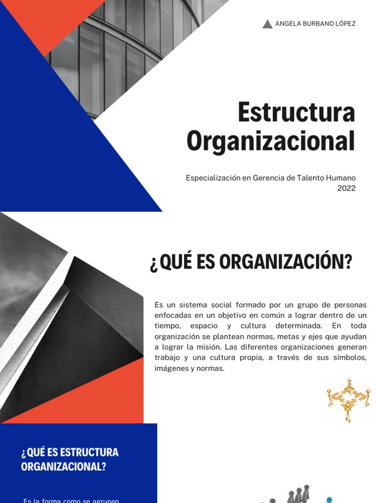 Estructura Organizacional | PDF | Business | Economias
