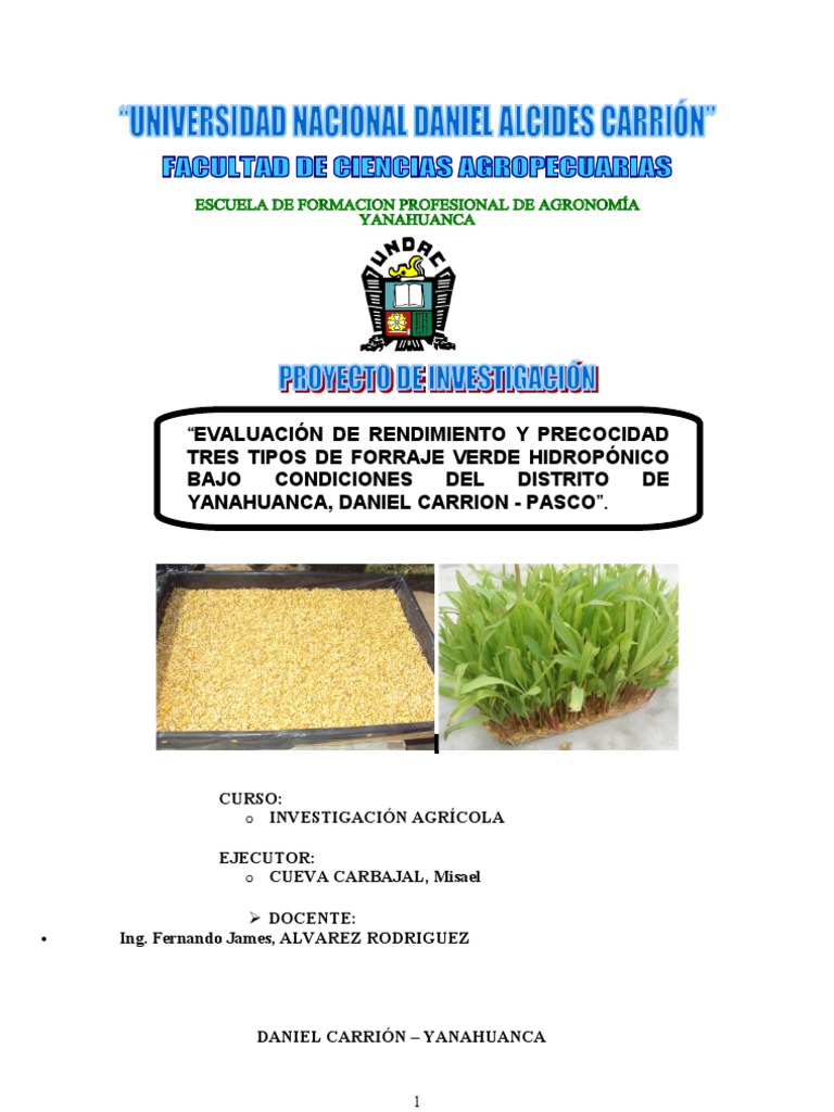 Forraje Verde Hidroponico
