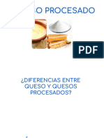 Queso Procesado - Micro 4