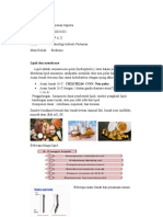 Lipid Dan Membrane
