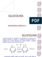 5 Glucolisis