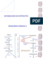 6 Metabolismo de Eritrocitos
