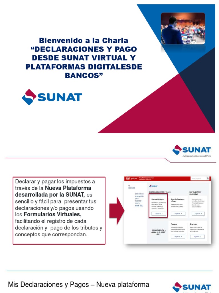 Declaraciones y Pagos en SUNAT Virtual | PDF | Finanzas y dinero | Derecho