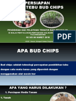 Persiapan Bibit Bud Chips Tebu