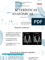 Caracteristicas Anatomicas