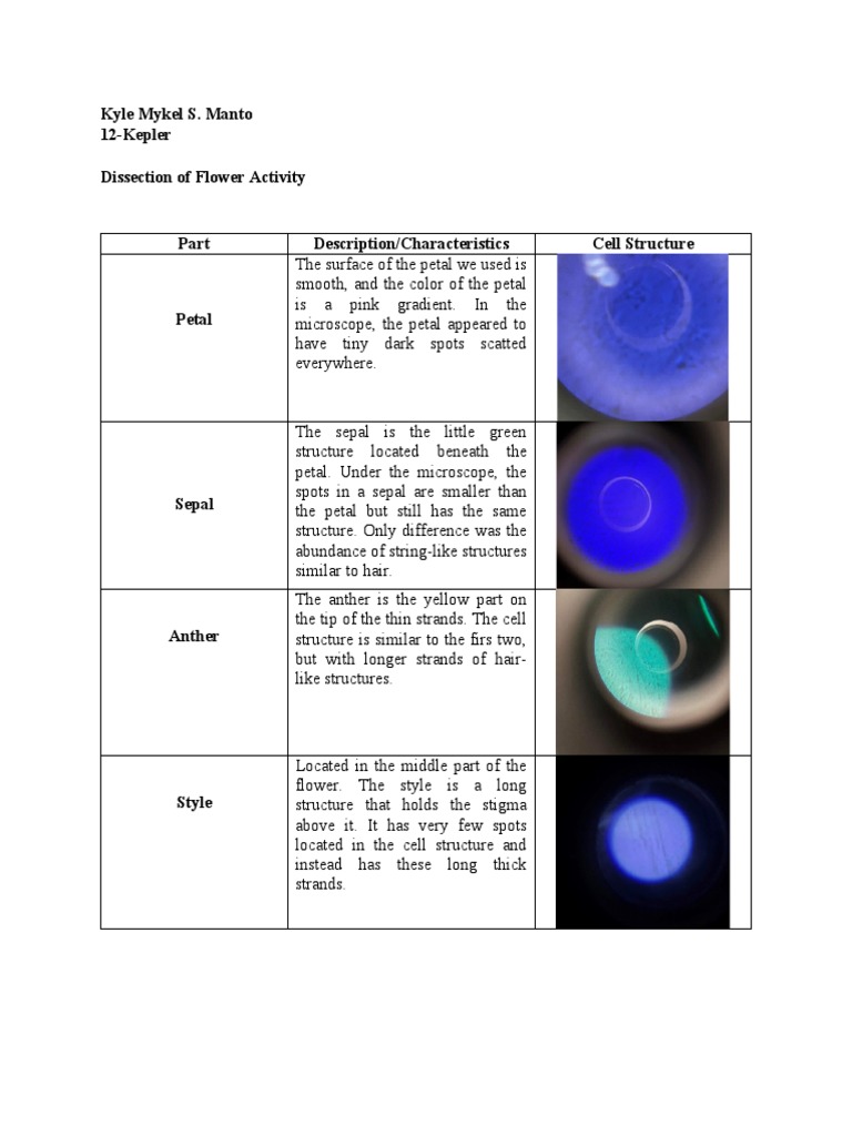 Flower Structure Dissection Analysis | PDF