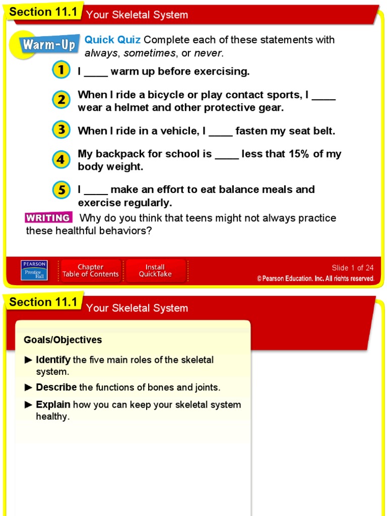 Skeletal System Lesson 19 Pdf Bone Skeleton