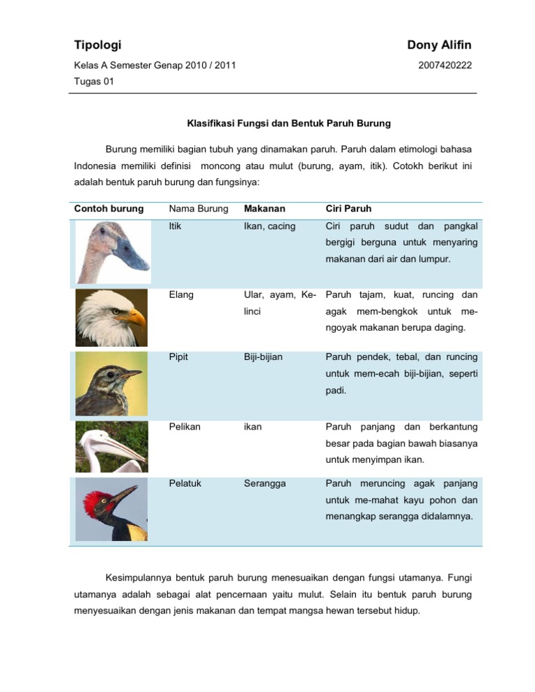 Tugas 01 Klasifikasi Pdf