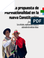 Pueblos y Naciones Indígenas en La Nueva Constitución