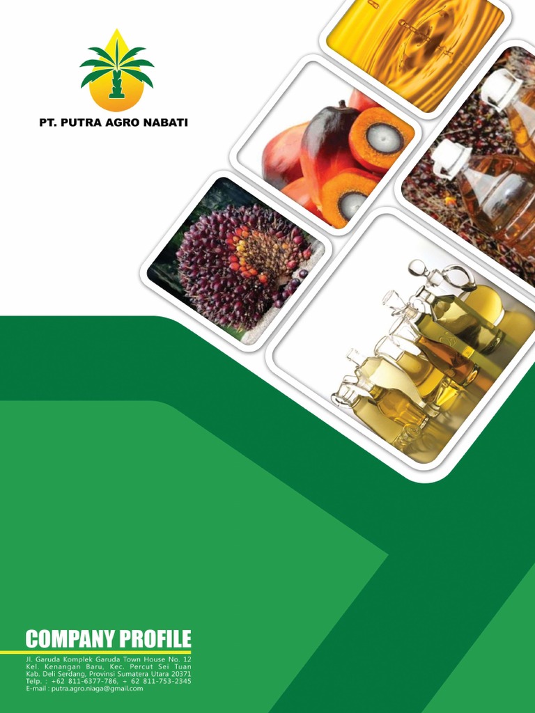 Company Profile Pan Nabati | PDF