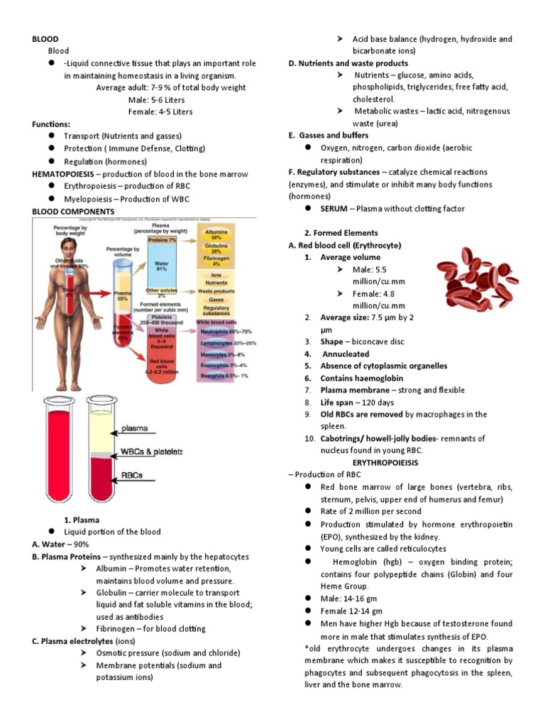 BLOOD | PDF