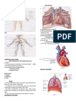 CIRCULATORY SYSTEM (Heart)