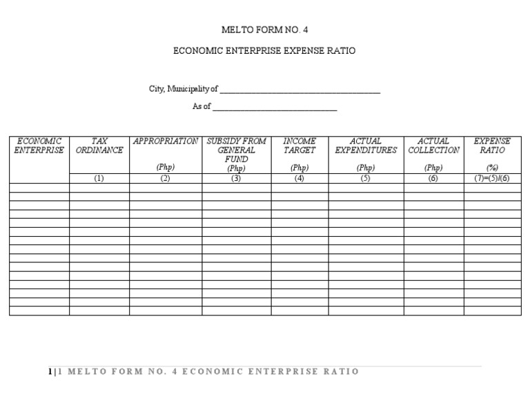Economic Enterprise Expense Ratio Form | PDF | Finance & Money Management