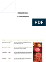 Embriología de Los Sistemas