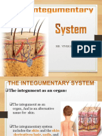 The Integumentary System