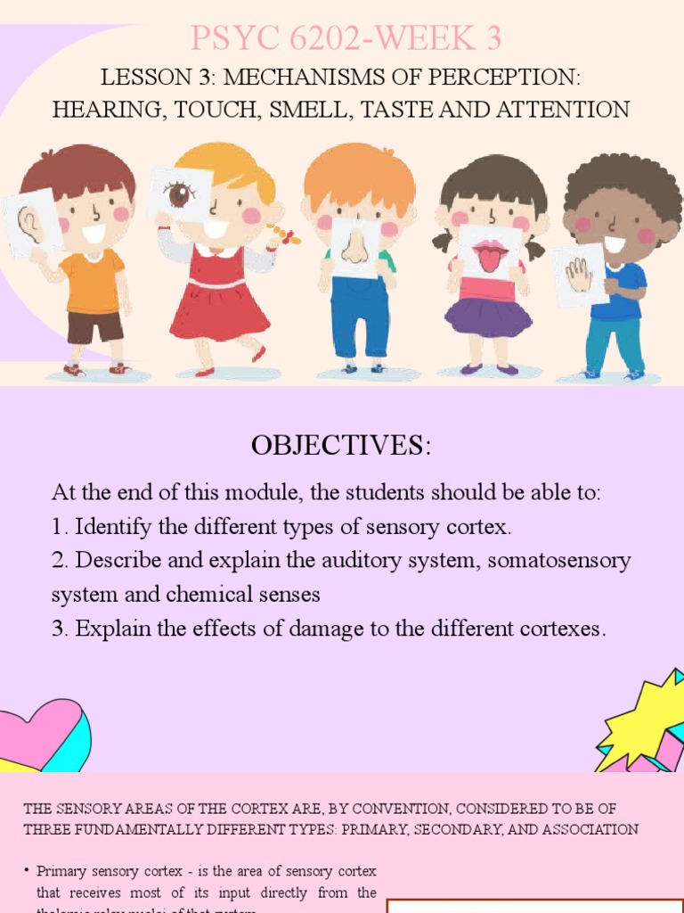 Mechanisms of Sensory Perception | PDF | Auditory System | Senses