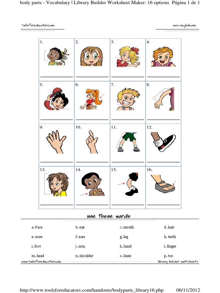 Body Parts Sheet | PDF | Language Arts & Discipline | Technology ...
