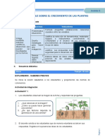 Crecimiento de plantas y efecto de la luz