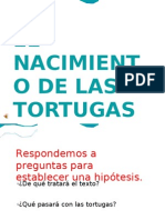 El Nacimiento de Las Tortugas