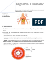 Ap. Digestivo Fisio