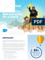 7 PRINCÍPIOS de UMA EXPERIÊNCIA BEM-SUCEDIDA DO CLIENTe