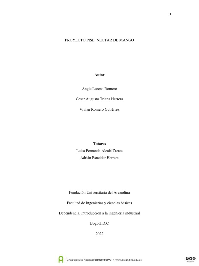 Proceso de Néctar de Mango Magullado | PDF | Mango | Ingeniería