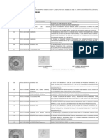 Libro Diario PDF - PHP
