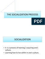 The Socialization Process