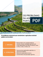 Ppt3 Problemas Agricultura Portuguesa