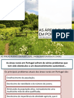 ppt4 Áreas rurais em Portugal