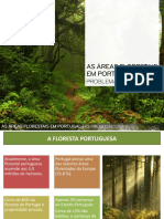 ppt15 Áreas Florestais