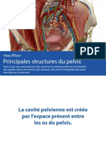 vb-pelvic-cavity-ebook_fr