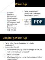 Chapter 9 Respiration
