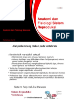 Sistem Reproduksi