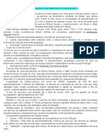 O que foi a Mineração no Brasil Colonial