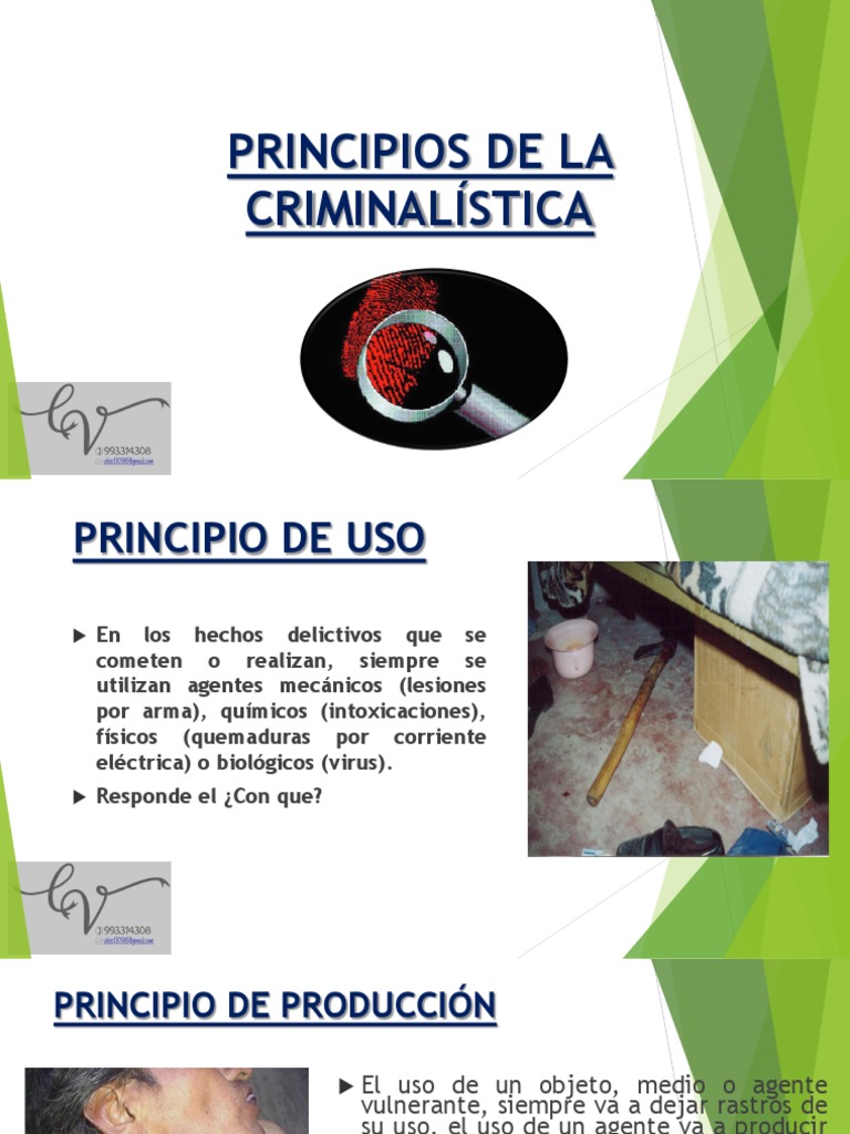 Clase 4 Principios de La Criminalistica - 355 - 0 | PDF | Probabilidad ...