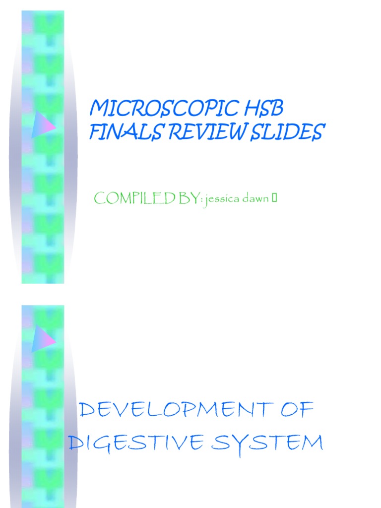 Microscopic HSB Finals | PDF
