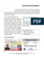 Licencia de Conducir Erlinson