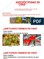 3._PPT_Plantas_autóctonas_de_Chile