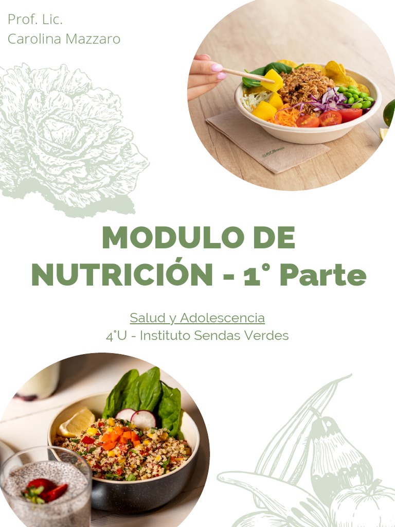 NUTRICIÓN Y SALUD - SyA | PDF | Nutrición | Dieta y nutrición