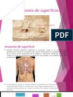 Anatomia de Superficie