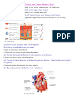 G 7 3.11 Tissues and Organ