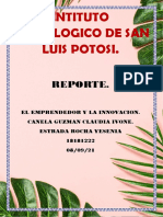 Reporte Emprendedor