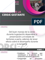 Manejo de La Cerda Gestante