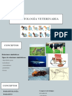 Parasitología veterinaria: conceptos clave