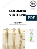 Columna Vertebral PDF