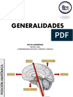 Generalidades de Neuroanatomia PDF