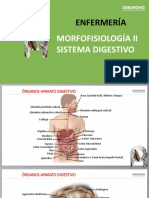 03 Morfofisiologia II Sistema Digestivo Agosto 31 2022 para Enviar Sept 1 2022