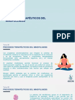 Psicoterapia y Mindfulness PPT Parte 3