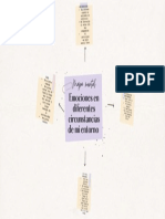 D) Mapa Mental Identificando Cada Emocion